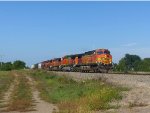 BNSF 4329 East